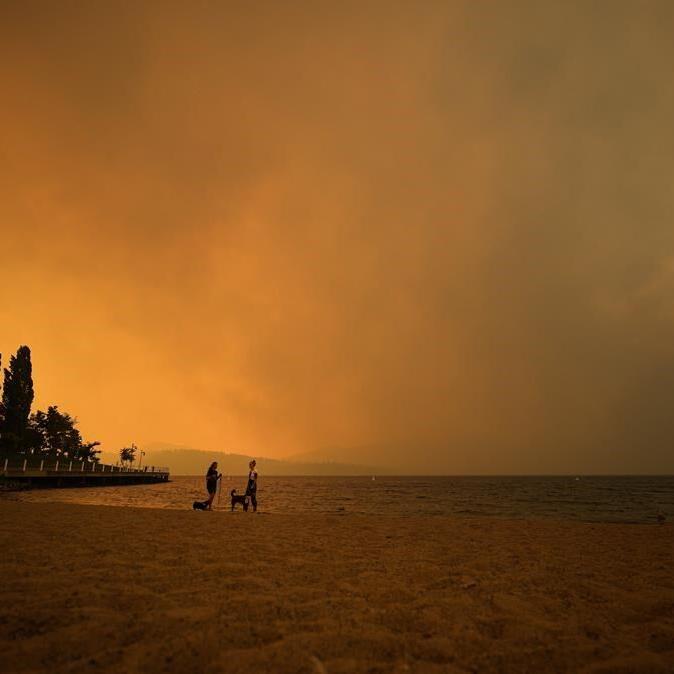 'The whole country is not on fire': ºÚÁϳԹÏÍø tourism industry struggles as fires rage